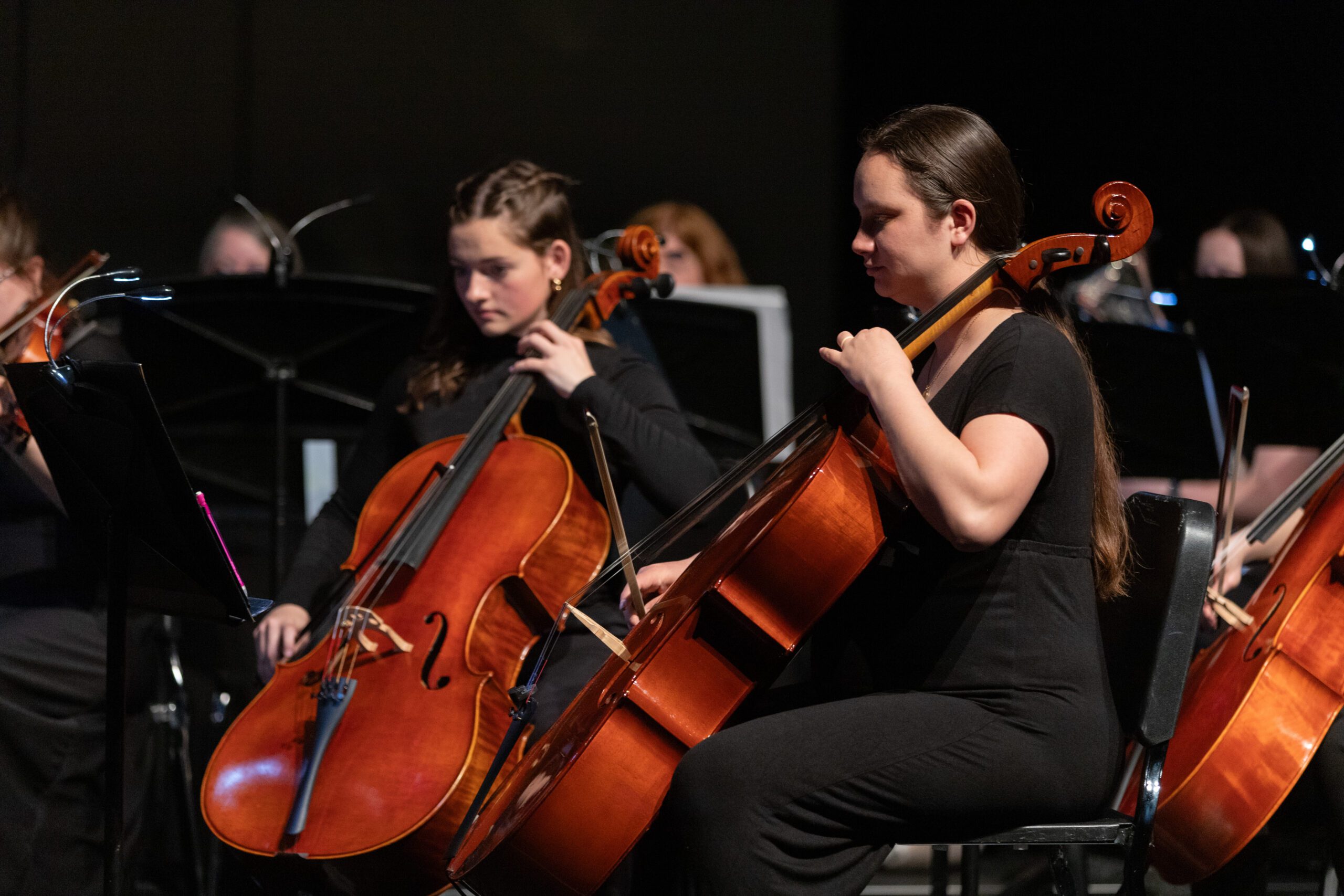 Cellists in Orchestra